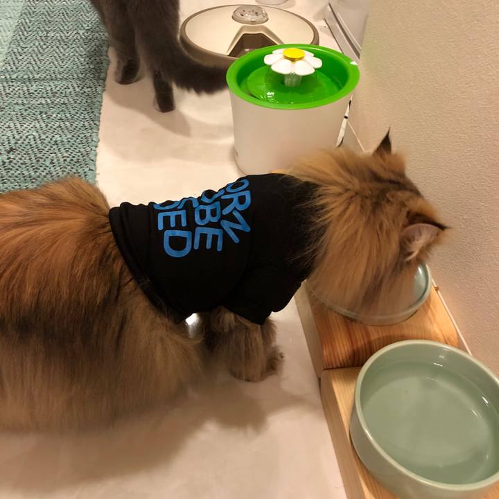 5379c350 6772 468c 99d6 fb17eadac109 1520077129573