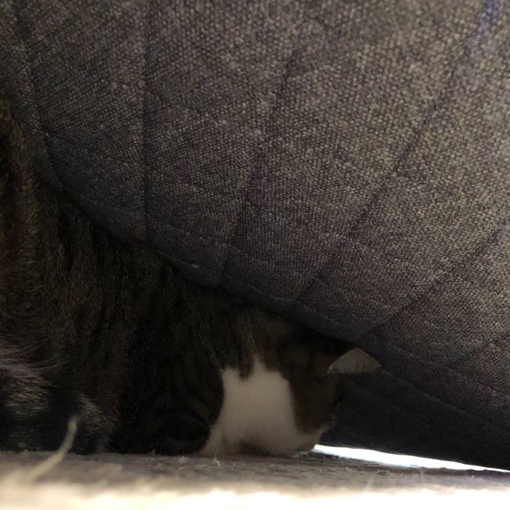 537a37f5 8386 494d 9124 d60f56ceb8c5 1669602922669