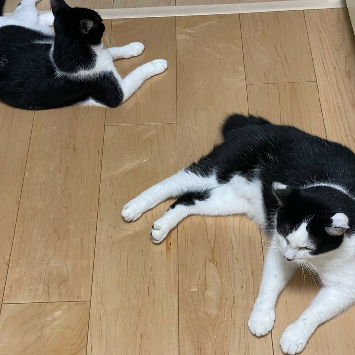 537a8445 00f1 4842 882f d1ca94c0d469 1694126978965