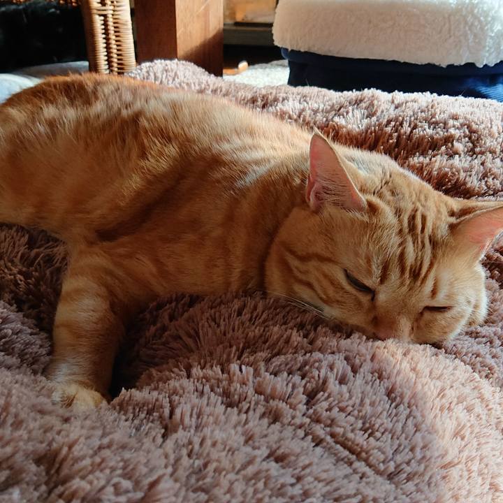 537a84ab c5d1 4662 8f84 f1dbb361d082 1544245097518