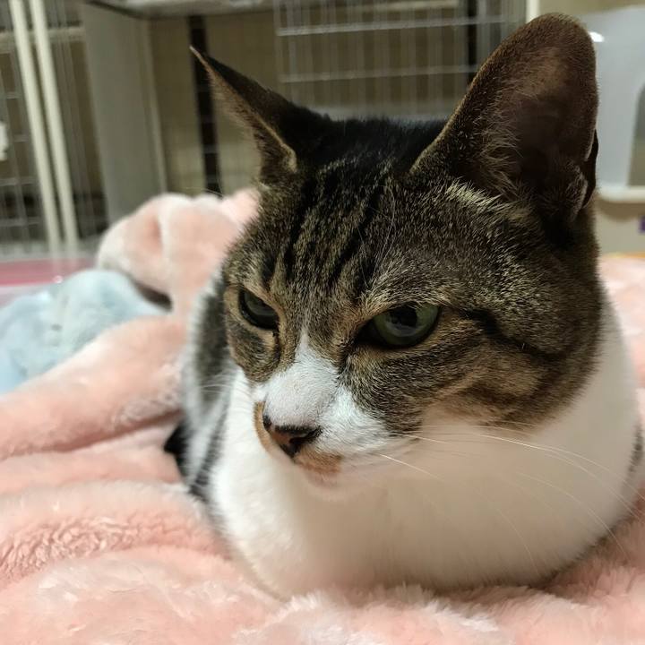 537aa589 0802 4441 bbc1 2d7dee9e0fb1 1516238982082