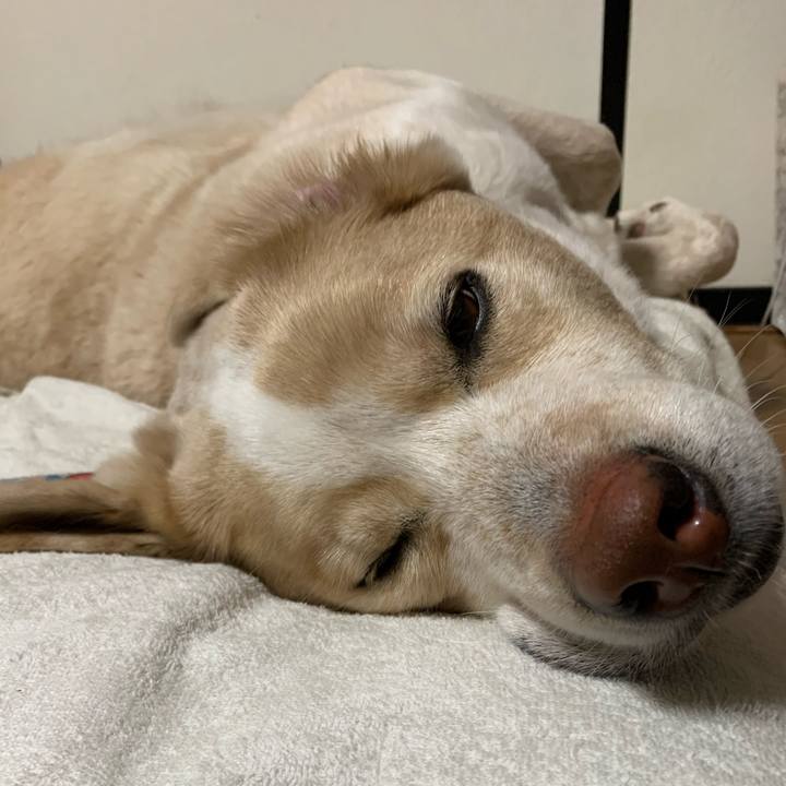 537ab630 f5e7 486d b00a ba054af3e4f2 1579792499054