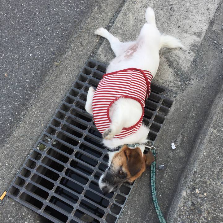 537ad384 6102 400d a0e5 b548df7d5d1f 1564529838624