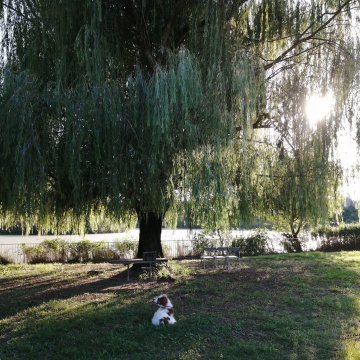 537adc42 fd73 44f9 a2ca 8ad2eab25086 1600170514096