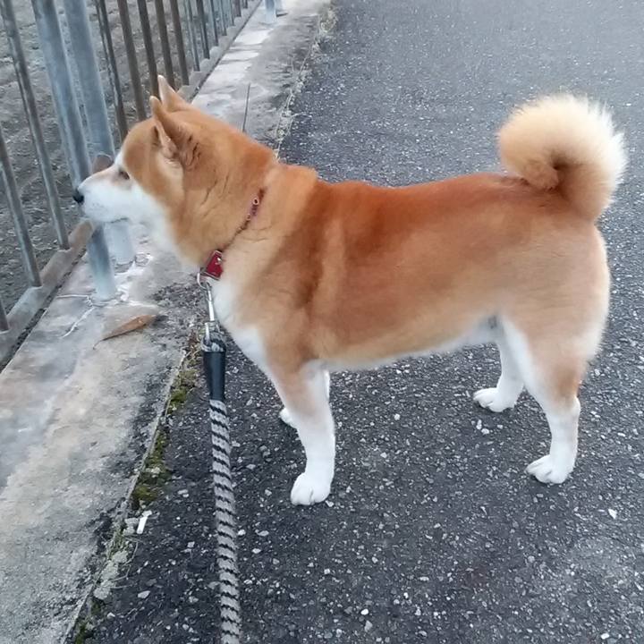 537afc15 8a0e 4a55 9cf0 35144488a882 1701645648280