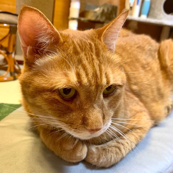 537b01c7 33be 4397 b738 b20b4783a7cf 1599889012834