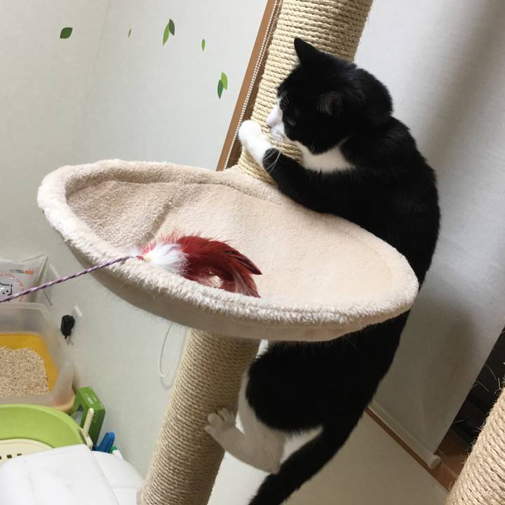 537b1138 89e4 43fd 86ef 82d2556bcc28 1515319116656