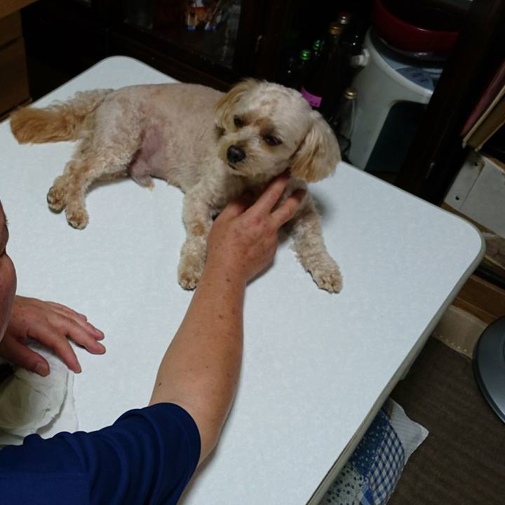 537b13da 6bc6 419d a45e 910d75493eab 1595603892360