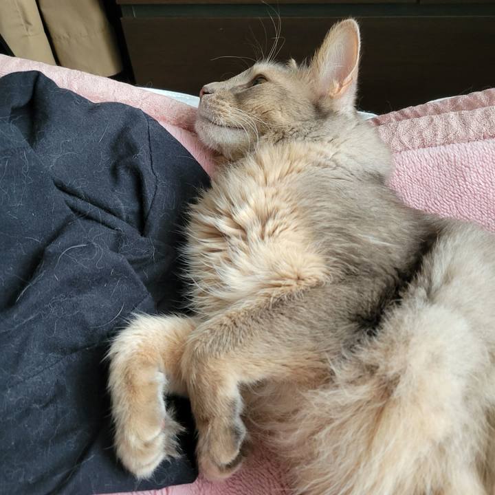 537b345d b386 40dd 9312 c21a06137b57 1655535286754