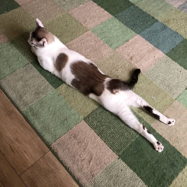 537b5545 cec0 4866 8688 a1de0418dbcb 1598143420069