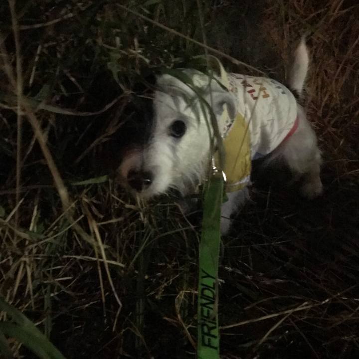 537b6012 5417 4bc1 9820 db757682ea9b 1544449736609