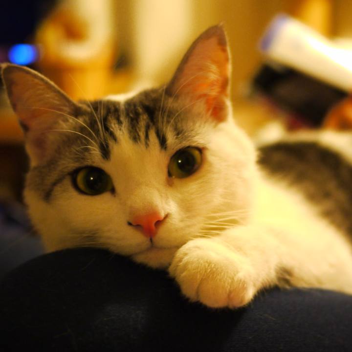 537b6e47 c411 4aae 9544 dcbcb7b14b92 1550825001418