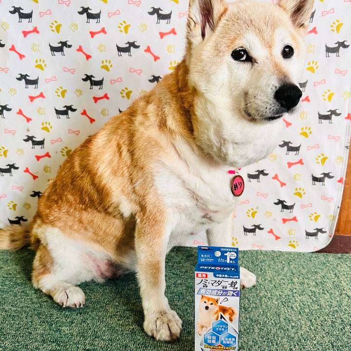 537bb4c7 d2df 41c0 93ef e24ad5fb633b 1750138634981