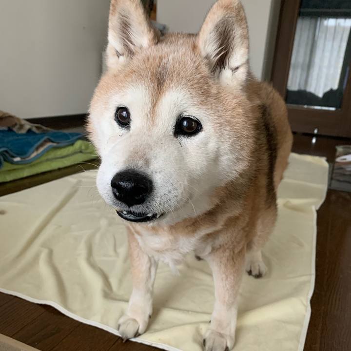 537bde2a de58 4f7d 8f2e a122e53778f6 1676777750898