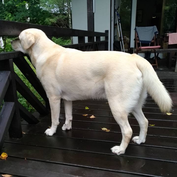 537bef50 1712 4192 bdc2 d84b6af156c8 1565769138278