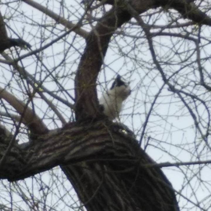 537bfcfb 963b 4991 89ac c5b993c51409 1617101066918