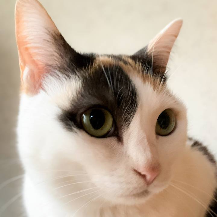 537bfe97 813d 41ee ae7b 04c723ea8af6 1589853559863