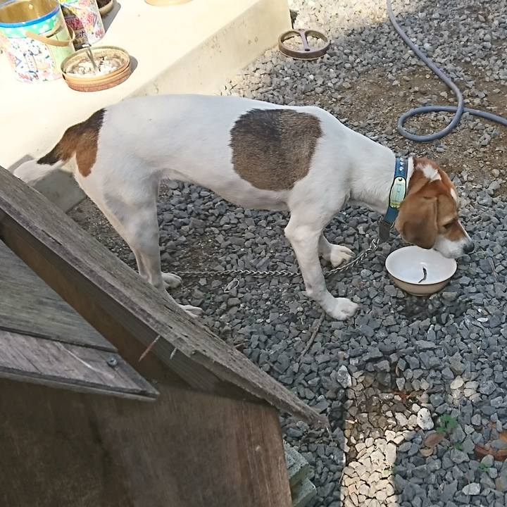 537c3338 fdde 42bb a637 34be07e41df8 1572493576151