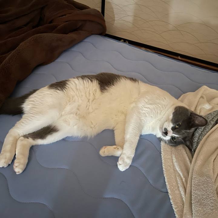 537c4e17 01ff 4e49 861c 383949dcd178 1659233037977