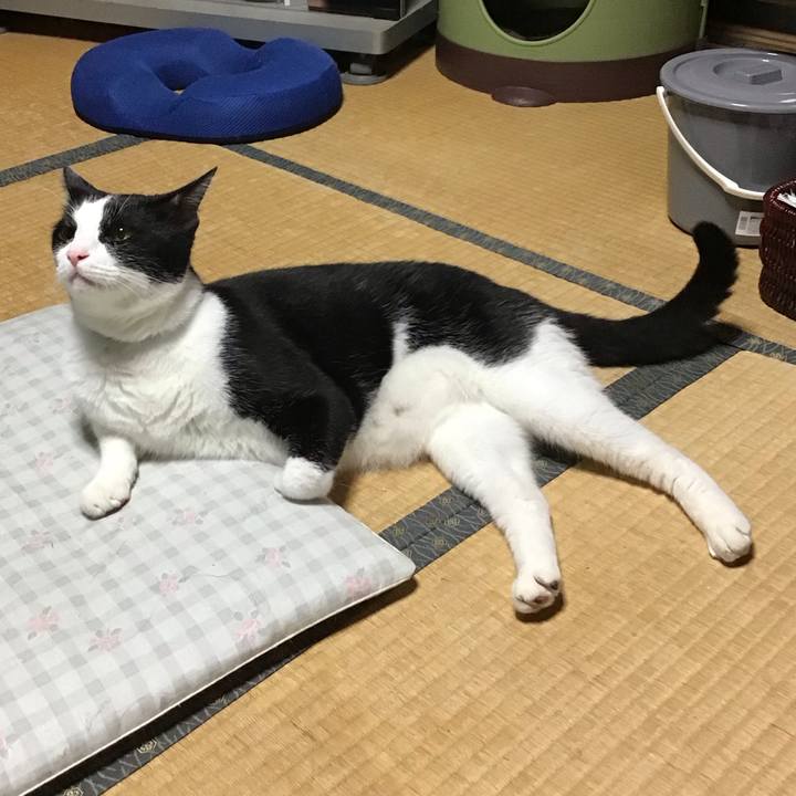 537c6c49 0760 4f65 9d6c c0381be72883 1757590159537