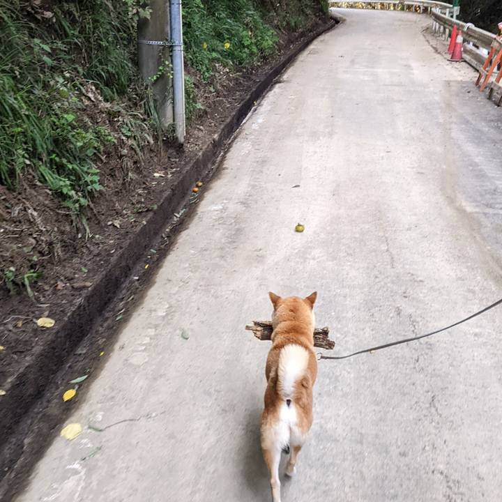 537c7670 13d3 42a7 ad06 d25152ca2f8d 1663569995112