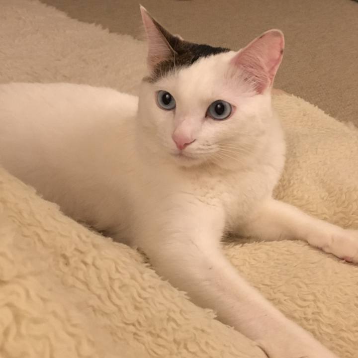 537c7e61 058d 4de6 be2c f27b3047351d 1522214591056