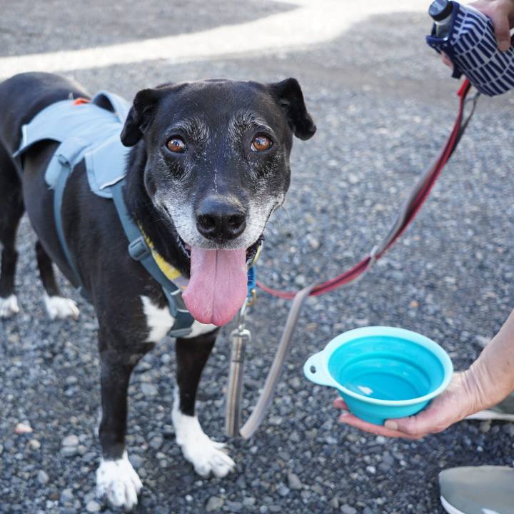 537c8234 2082 4e45 a9f0 8d8b17a42b1e 1758412837785