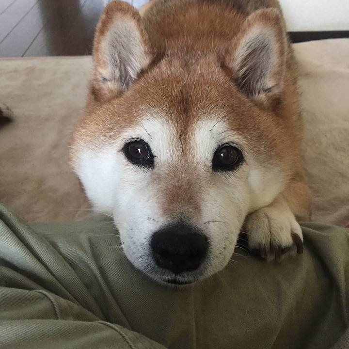 537c8a84 6203 490c 9162 0bb311c083d3 1523764984271