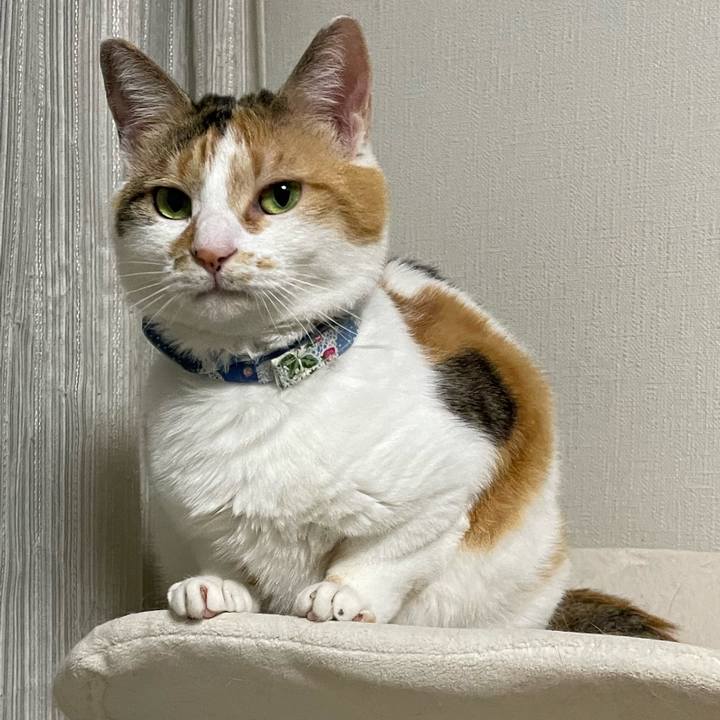 537ca52d a357 4075 b918 db87c57ab7c4 1718461672058