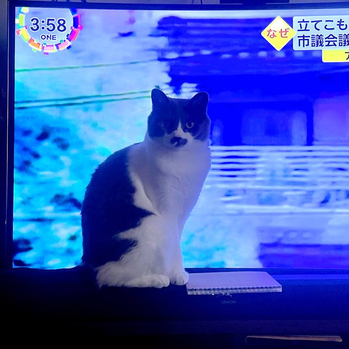 537cbe4e a936 4d51 8093 ce97f1817fdb 1685084402646