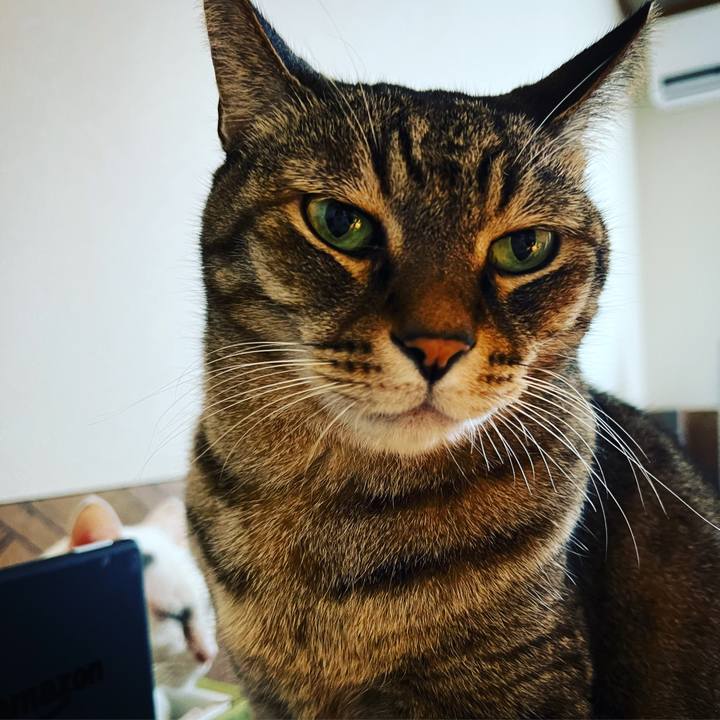 537cbe90 f151 4621 bdd4 809b402f48ef 1668696450826