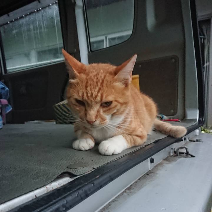 537cc5f1 f47f 4a69 b0fd 2ed1c8801f34 1596922605555