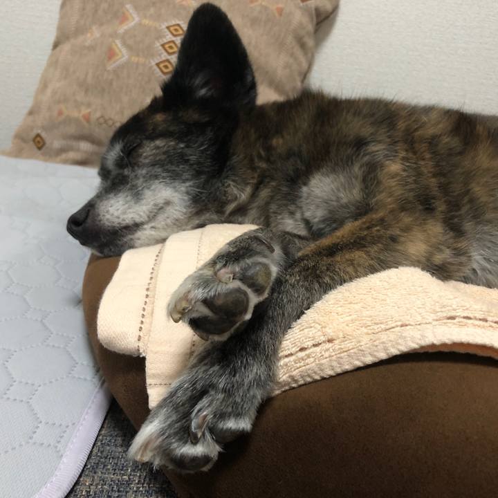 537cfe29 d9a8 4743 95dc 8f0c6f428f64 1686058288937