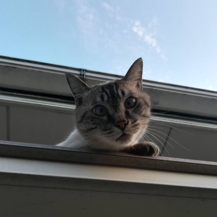 537d137b 6cc8 4bf2 a22b 80371f6f0a0e 1566034851649