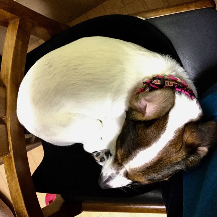 537d1530 9454 4519 a677 4086690d4580 1521804308873