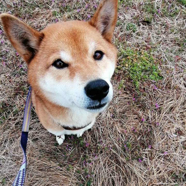 537d2668 4ee1 48c8 805b 0aa4abb1ed09 1582331338036