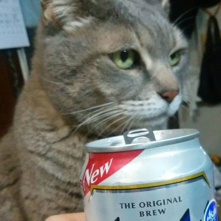 537d366a 730a 42fb 9a21 f65caeb2a5cf 1552721251783