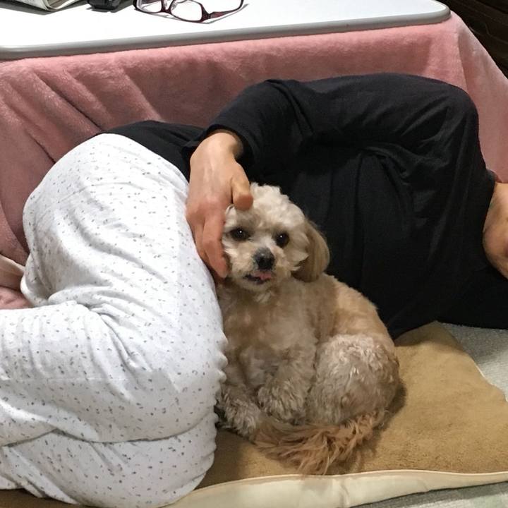 537d57a5 b81e 442f a24d 614f988497c7 1522157793596