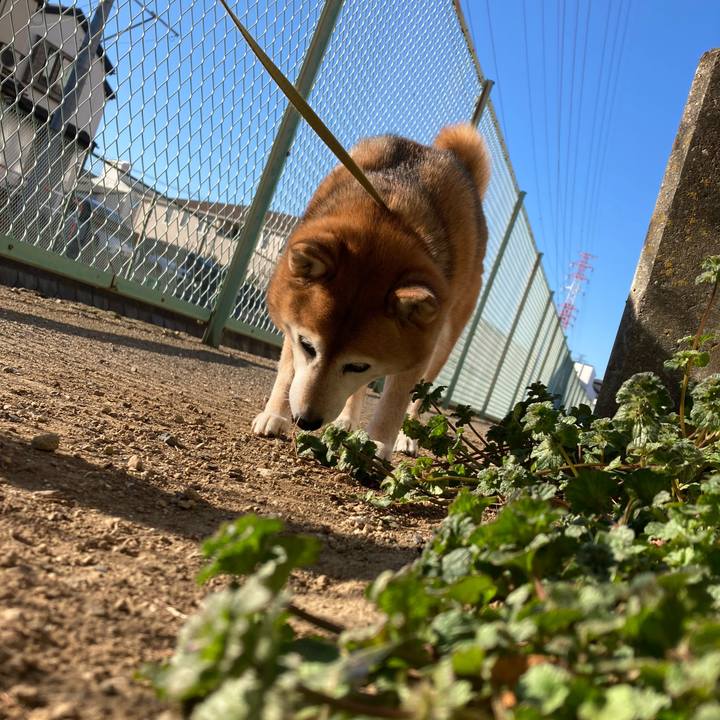 537d9636 8331 4c79 8ff3 59250b27d9f1 1707782606489