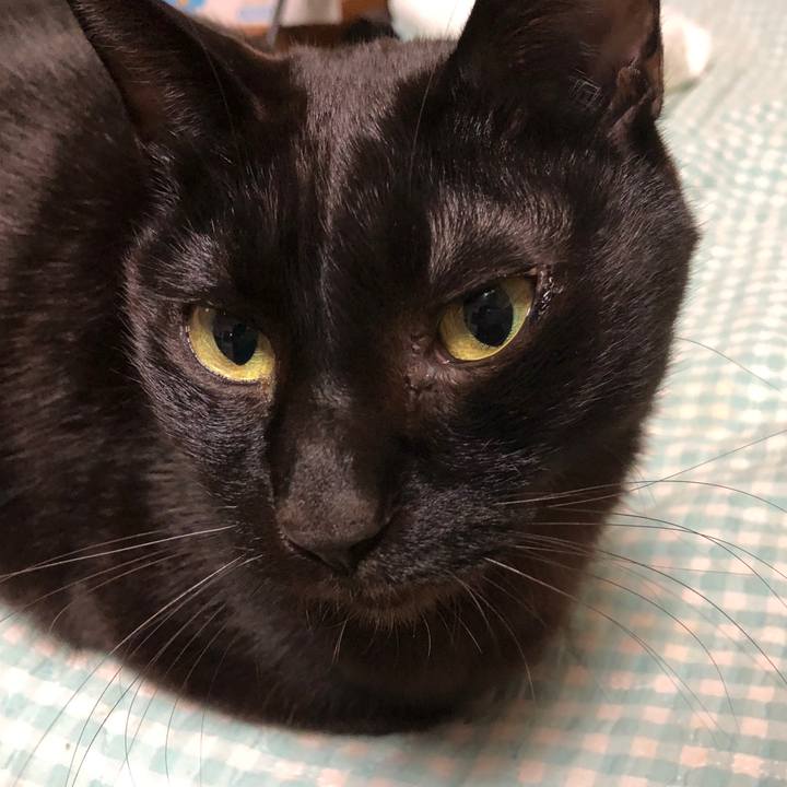 537da69b ba2f 4cc9 b07f 414c344b8e8a 1736513830681