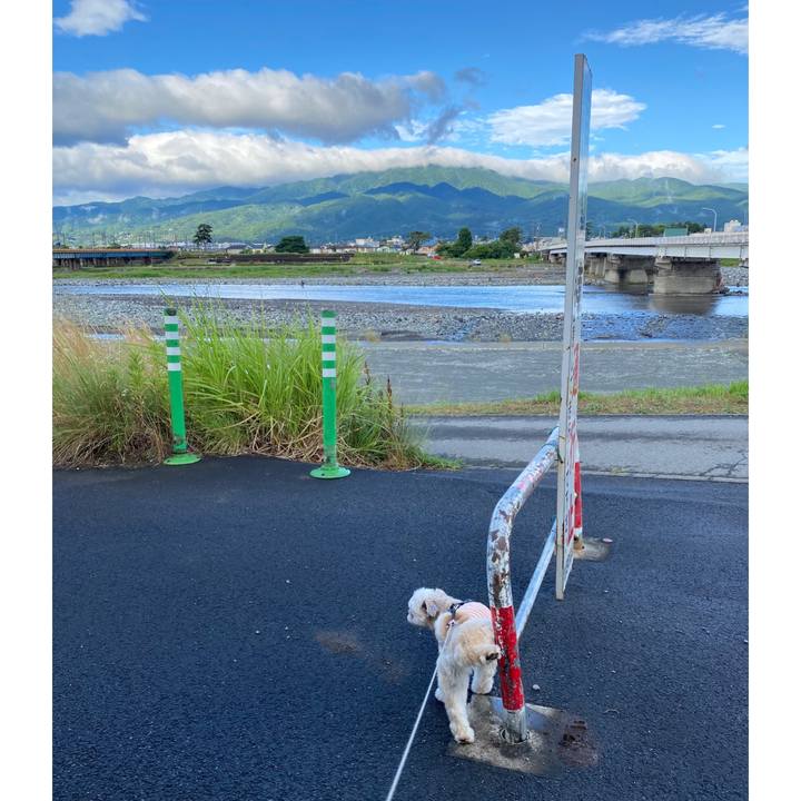 537dd55e e817 49ef 9482 2b4a41cdecbb 1591914195399