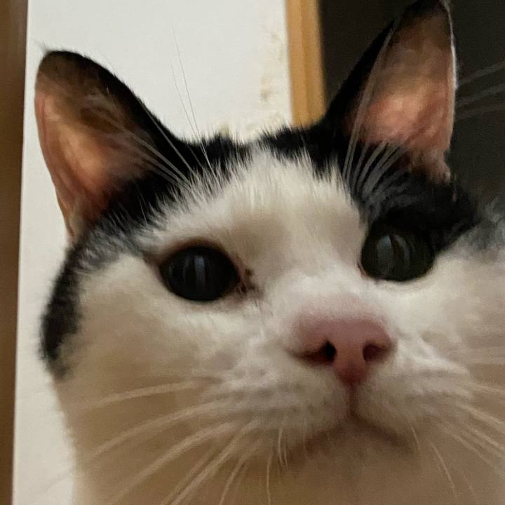 537de600 53bf 453c b908 2f2b05e2f926 1594468366845