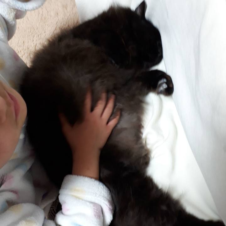 537e09ea b218 40f2 91ba 374a14962b10 1518699737611