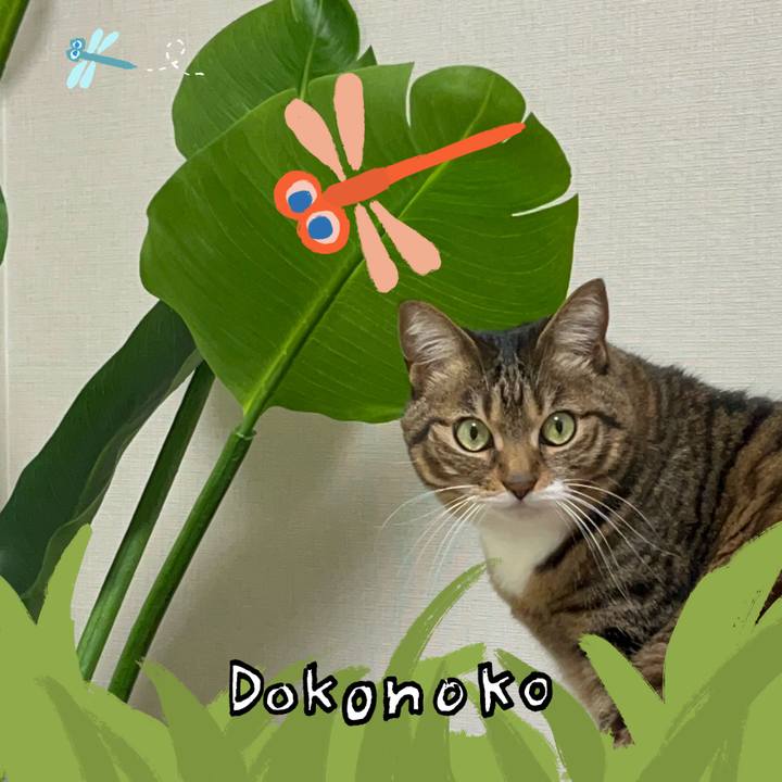 537e43bb 0c03 4acf 8b66 60077b504279 1727276202155