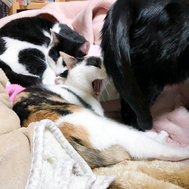 537e52be b1b5 4139 a302 042423adc5ed 1513865338663