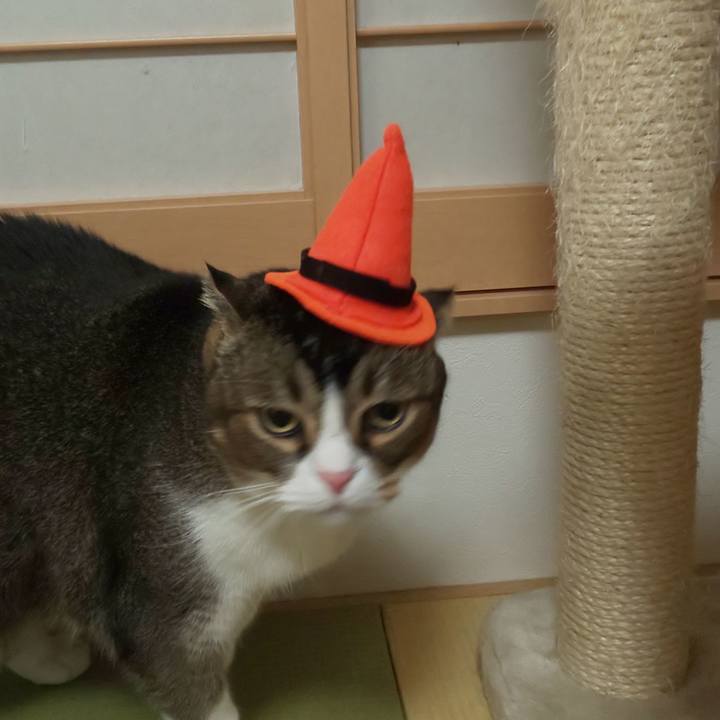 537e8ecd 433a 4e36 8f75 8c44558a297d 1635682016234