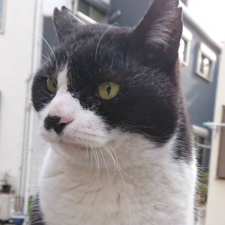 537e9243 1f8d 4305 befb f9d5c17559fc 1678752078238