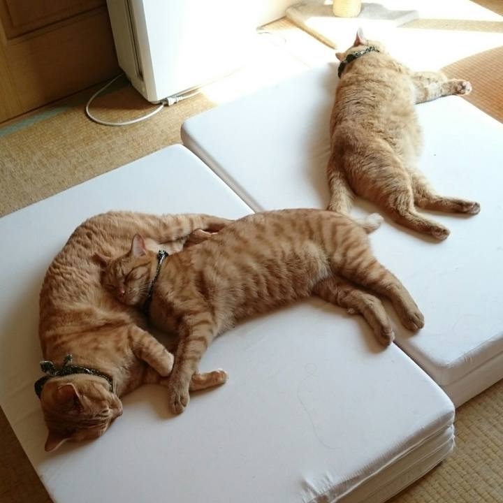 537ecd92 48fa 419c ad1b 3b9b5a4e9897 1569589782770