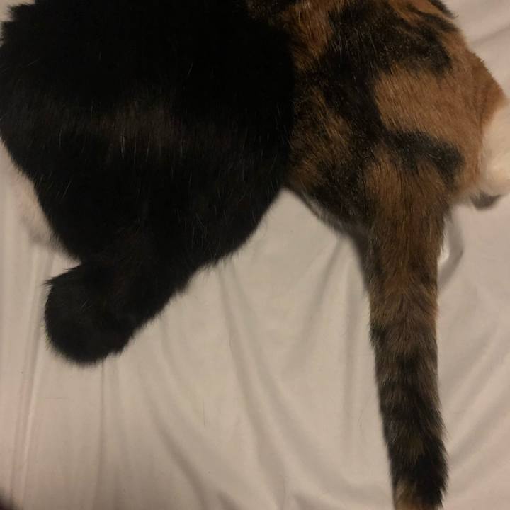 537edd9d c7fc 4eb7 95e8 b50f9e61ca70 1591551609220