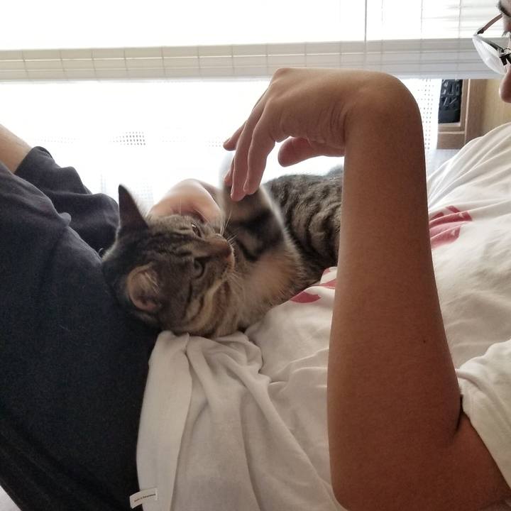 537efabf 6b46 4a03 90eb 868c7cb10743 1690619342845